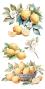 Preview: Papers For you - Transfer Aufkleber "Lemon" Decor Transfers 6x12 Inch