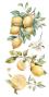 Preview: Papers For you - Transfer Aufkleber "Lemon" Decor Transfers 6x12 Inch