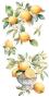 Preview: Papers For you - Transfer Aufkleber "Lemon" Decor Transfers 6x12 Inch