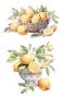 Preview: Papers For you - Transfer Aufkleber "Lemon" Decor Transfers 8x12 Inch