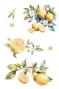 Preview: Papers For you - Transfer Aufkleber "Lemon" Decor Transfers 8x12 Inch