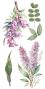 Preview: Papers For you - Transfer Aufkleber "Lilacs" Decor Transfers 6x12 Inch