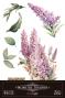 Preview: Papers For you - Transfer Aufkleber "Lilacs" Decor Transfers 8x12 Inch