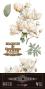 Preview: Papers For you - Transfer Aufkleber "Magnolias" Decor Transfers 6x12 Inch