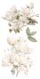Preview: Papers For you - Transfer Aufkleber "Magnolias" Decor Transfers 6x12 Inch