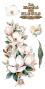 Preview: Papers For you - Transfer Aufkleber "Magnolias" Decor Transfers 6x12 Inch