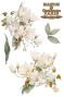 Preview: Papers For you - Transfer Aufkleber "Magnolias" Decor Transfers 8x12 Inch