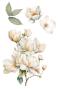 Preview: Papers For you - Transfer Aufkleber "Magnolias" Decor Transfers 8x12 Inch