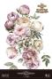Preview: Papers For you - Transfer Aufkleber "Peonies" Decor Transfers 24x35 Inch