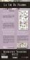 Preview: Papers For you - Transfer Aufkleber "Peonies" Decor Transfers 6x12 Inch
