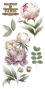 Preview: Papers For you - Transfer Aufkleber "Peonies" Decor Transfers 6x12 Inch