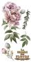 Preview: Papers For you - Transfer Aufkleber "Peonies" Decor Transfers 6x12 Inch