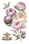 Preview: Papers For you - Transfer Aufkleber "Peonies" Decor Transfers 8x12 Inch