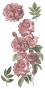 Preview: Papers For you - Transfer Aufkleber "Roses" Decor Transfers 6x12 Inch