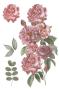 Preview: Papers For you - Transfer Aufkleber "Roses" Decor Transfers 8x12 Inch