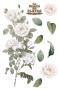 Preview: Papers For you - Transfer Aufkleber "Roses" Decor Transfers 8x12 Inch