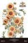 Preview: Papers For you - Transfer Aufkleber "Sunflowers" Decor Transfers 24x35 Inch