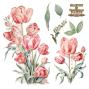 Preview: Papers For you - Transfer Aufkleber "Tulips" Decor Transfers 12x12 Inch