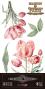 Preview: Papers For you - Transfer Aufkleber "Tulips" Decor Transfers 6x12 Inch