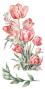 Preview: Papers For you - Transfer Aufkleber "Tulips" Decor Transfers 6x12 Inch