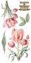 Preview: Papers For you - Transfer Aufkleber "Tulips" Decor Transfers 6x12 Inch