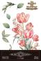 Preview: Papers For you - Transfer Aufkleber "Tulips" Decor Transfers 8x12 Inch