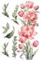 Preview: Papers For you - Transfer Aufkleber "Tulips" Decor Transfers 8x12 Inch