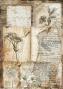 Preview: Ciao Bella - Decopatch Papier "Codex Mixed" Rice Paper A5 - 8 Bogen