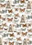 Preview: Ciao Bella - Pergamentpapier "Cabinet of Curiosities" Vellum A4 - 6 Bogen