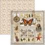 Preview: Ciao Bella - Designpapier "Cabinet of Curiosities" Paper Pack 8x8 Inch - 12 Bogen