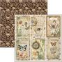 Preview: Ciao Bella - Designpapier "Cabinet of Curiosities" Paper Pack 8x8 Inch - 12 Bogen