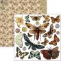 Preview: Ciao Bella - Stanzteile "Cabinet of Curiosities" Fussy Cut Pad - 24 Bogen