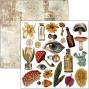 Preview: Ciao Bella - Stanzteile "Cabinet of Curiosities" Fussy Cut Pad - 24 Bogen