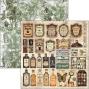 Preview: Ciao Bella - Designpapier "Cabinet of Curiosities" Paper Pack 12x12 Inch - 12 Bogen
