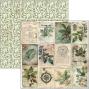 Preview: Ciao Bella - Designpapier "Cabinet of Curiosities" Paper Pack 12x12 Inch - 12 Bogen