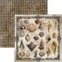 Preview: Ciao Bella - Designpapier "Cabinet of Curiosities" Paper Pack 12x12 Inch - 12 Bogen