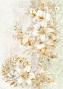 Preview: Ciao Bella - Decopatch Papier "Blessing Day Mixed" Rice Paper A5 - 8 Bogen