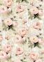 Preview: Ciao Bella - Seidenpapier - Decopatch Papier "A Timeless Love" Tissue Paper A4 - 6 Bogen