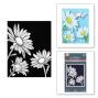 Preview: Spellbinders - Buchdrucktechnik "Daisy Trio" BetterPress Plate