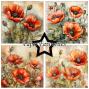 Preview: Paper Favourites - Designpapier "Poppy" Paper Pack 6x6 Inch - 24 Bogen