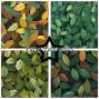 Preview: Paper Favourites - Designpapier "Forest Leaves" Paper Pack 12x12 Inch 8 Bogen