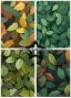 Preview: Paper Favourites - Designpapier "Forest Leaves" Paper Pack A5 - 24 Bogen