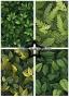 Preview: Paper Favourites - Designpapier "Forest Leaves" Paper Pack A5 - 24 Bogen