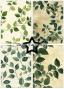 Preview: Paper Favourites - Designpapier "Green Leaves" Paper Pack A5 - 24 Bogen