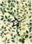 Preview: Paper Favourites - Designpapier "Green Leaves" Paper Pack A5 - 24 Bogen