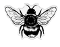 Preview: Crafters Companion - Stempelset & Stanzschablone "Fly High" Stamp & Dies