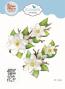 Preview: Elizabeth Craft Designs - Stanzschalone "Magnolia" Dies