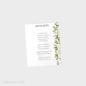 Preview: Pocketfold Einladung "Antique White" B6