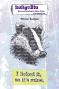 Preview: IndigoBlu - Gummistempel Set "Winter Badger" A6 Rubber Stamp