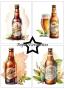 Preview: Paper Favourites - Designpapier "Bottle of Beer" Paper Pack A6 - 24 Bogen